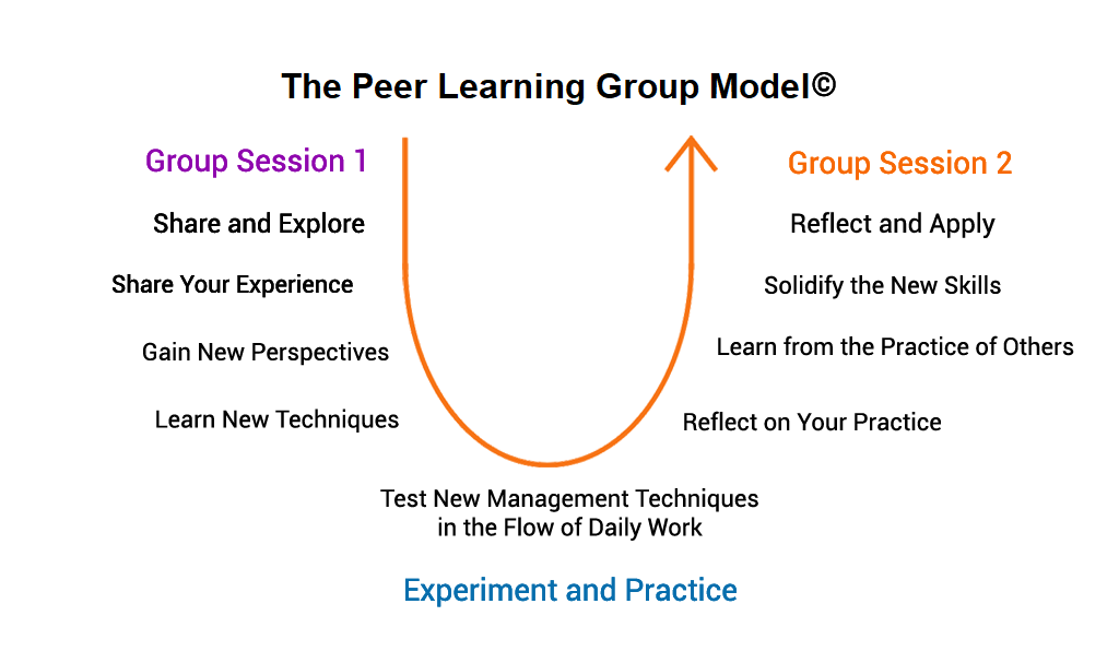 the peer learning